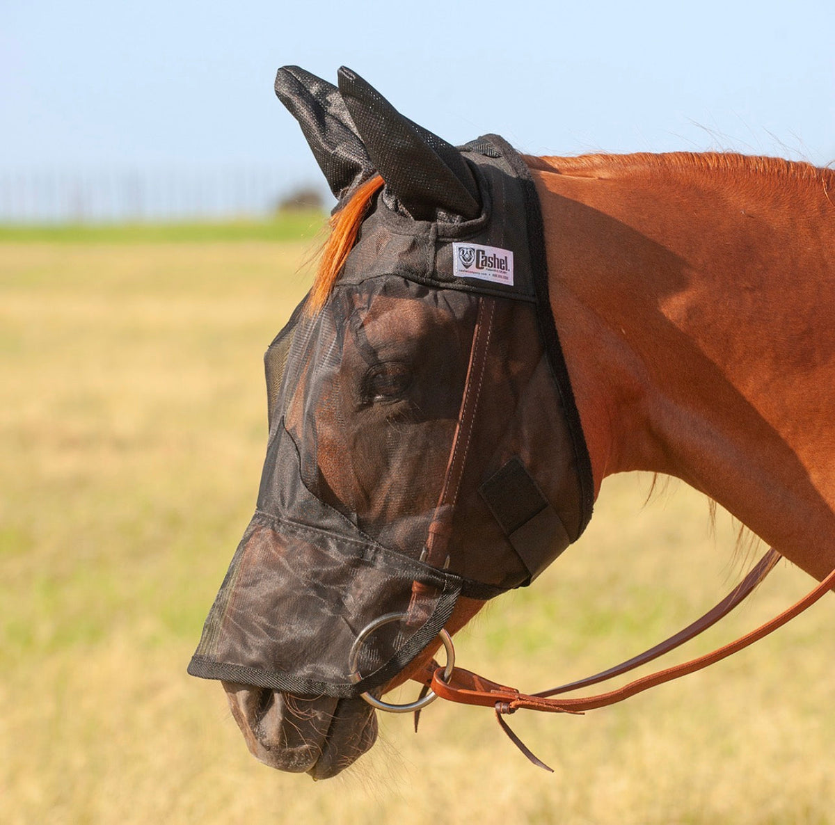 Fly Protection