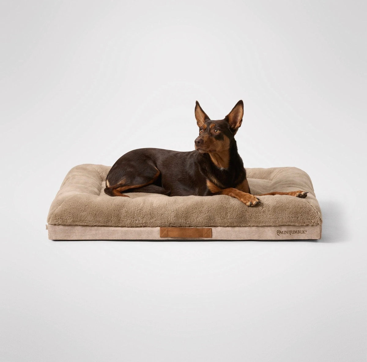 Dog Beds