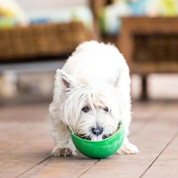 Dog Slow Feeders
