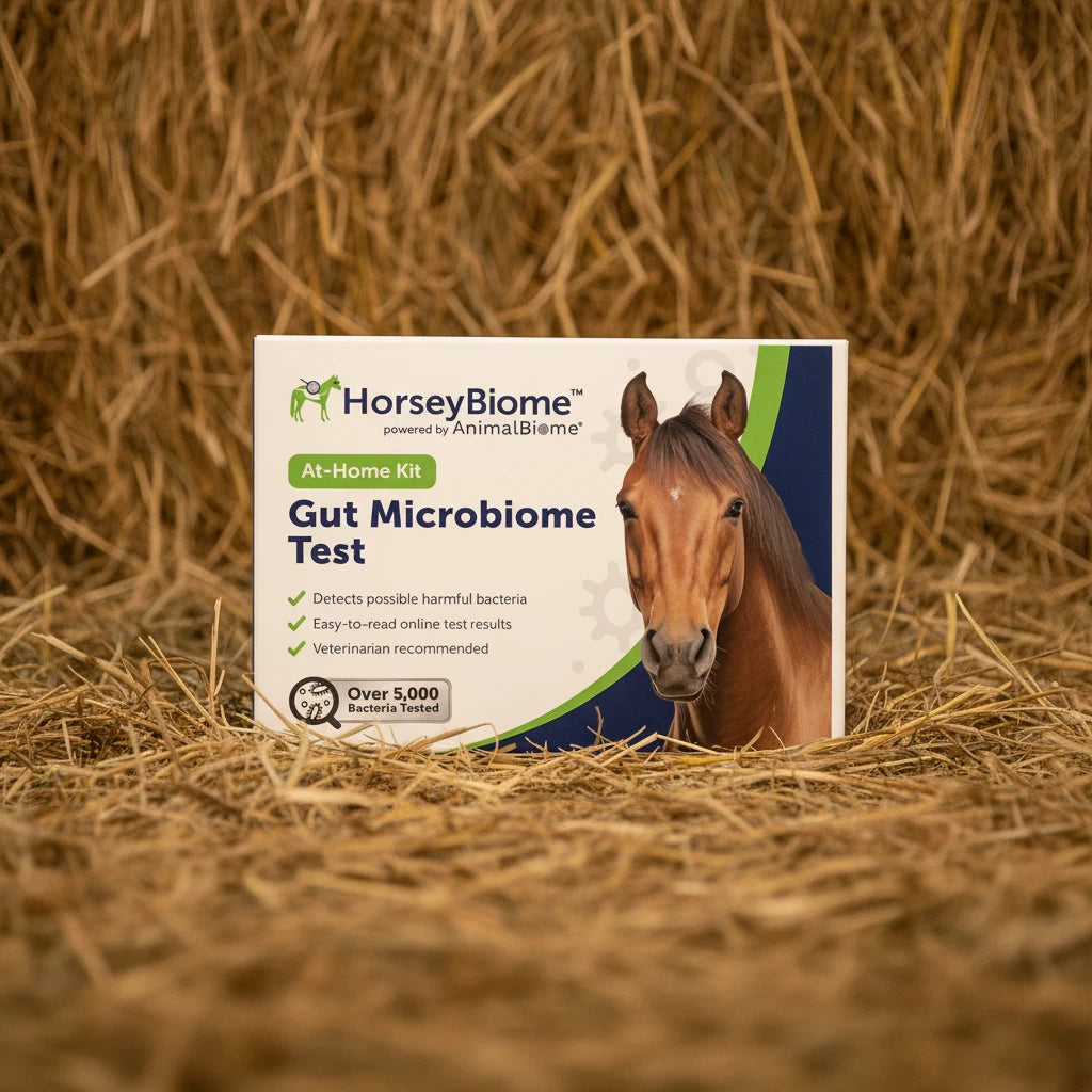 Gut Microbiome Test for Horses