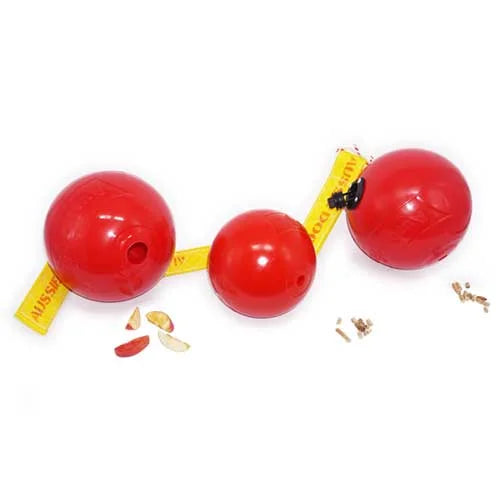 Jiggy Snack Pack