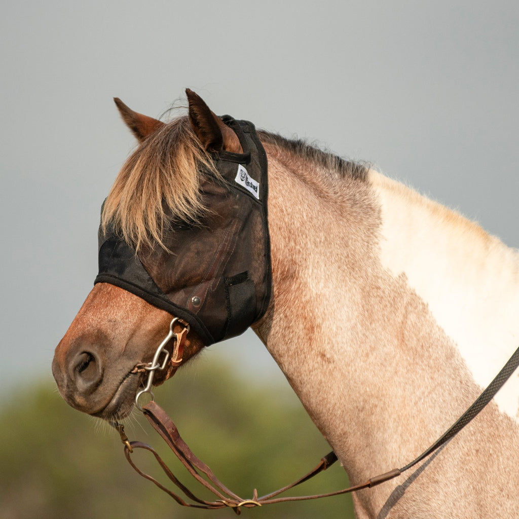 Cashel Quiet Ride Fly Mask