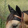 Cashel Comfort Ears